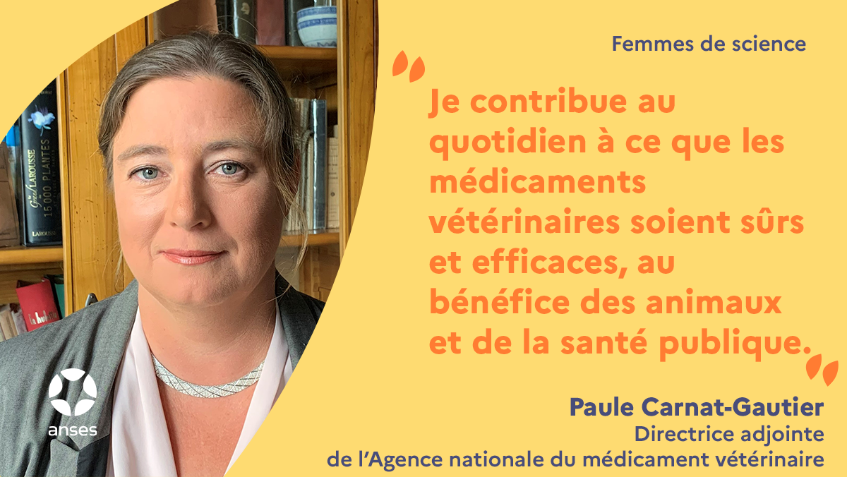 Portrait de femmes de sciences